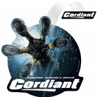 Отзывы о шинах Cordiant