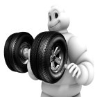 Отзывы владельцев шин Michelin