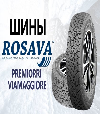 Зимние шины Rosava