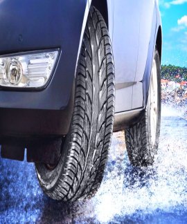 Характеристика шин Dunlop