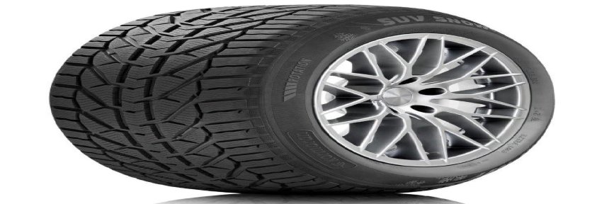 Шины Tigar Winter