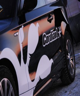 Тест шин Кордиант